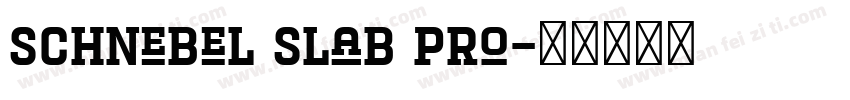 Schnebel Slab Pro字体转换